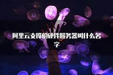 对比国内服务器有_360问答